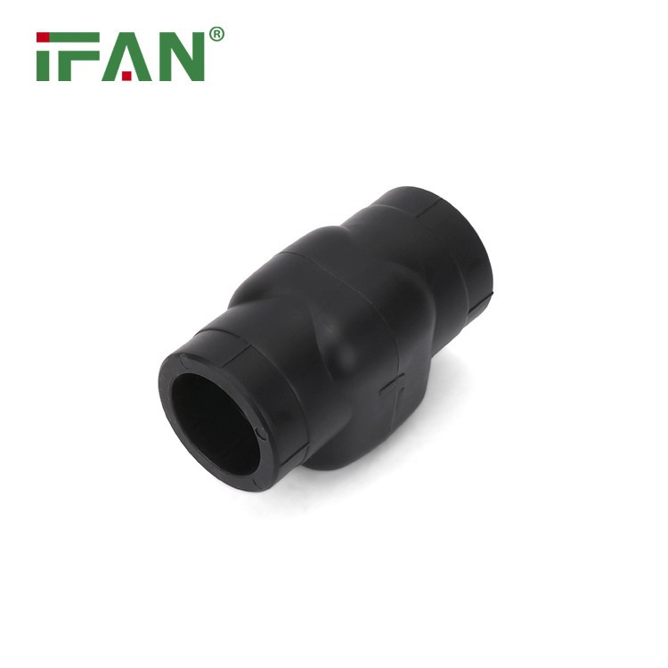 He Powerful PPR Fitting Check Valve