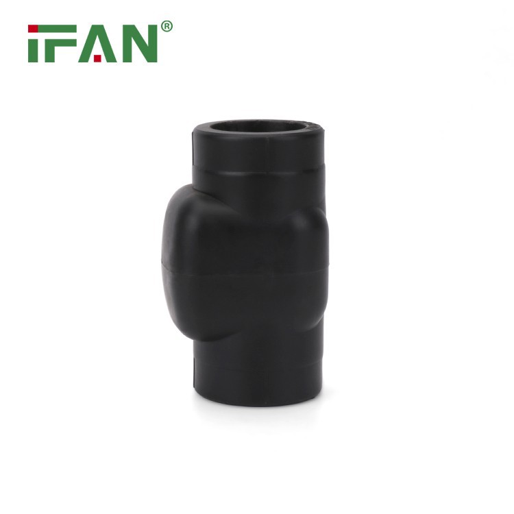 He Powerful PPR Fitting Check Valve